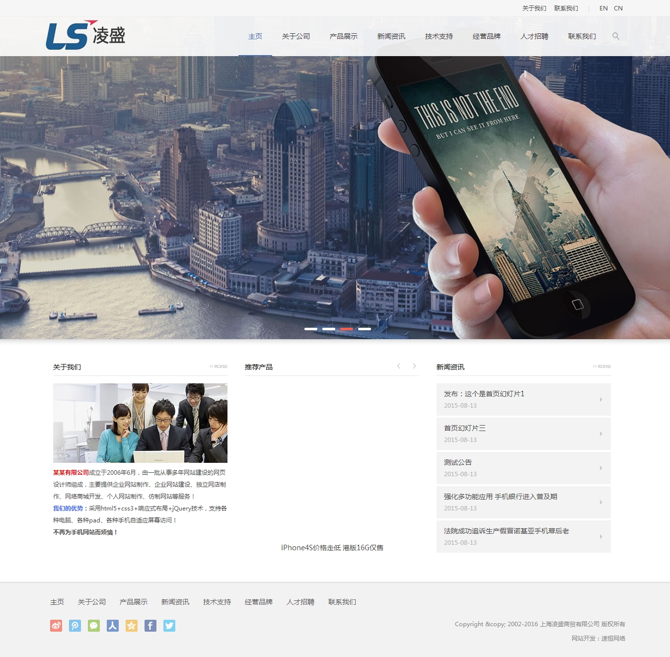上海凌盛商贸有限公司网站制作案例